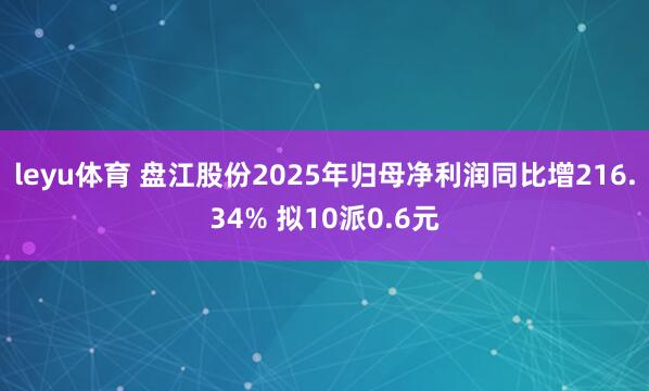 leyu体育 盘江股份2025年归母净利润同比增216.34% 拟10派0.6元