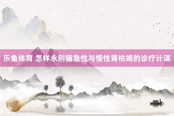 乐鱼体育 怎样永别猫急性与慢性肾枯竭的诊疗计谋