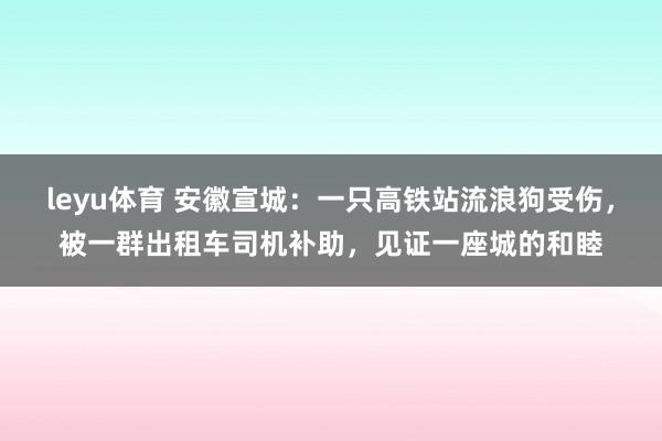 leyu体育 安徽宣城：一只高铁站流浪狗受伤，被一群出租车司机补助，见证一座城的和睦