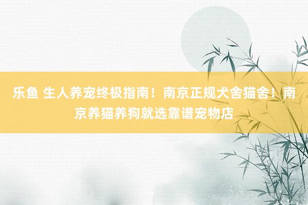 乐鱼 生人养宠终极指南！南京正规犬舍猫舍！南京养猫养狗就选靠谱宠物店