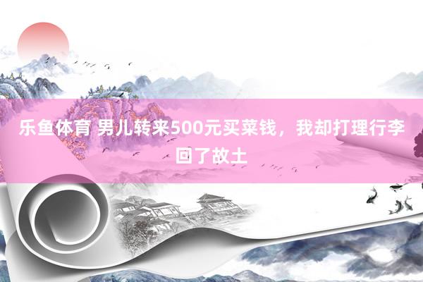 乐鱼体育 男儿转来500元买菜钱，我却打理行李回了故土