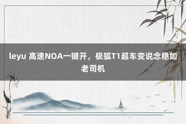 leyu 高速NOA一键开，极狐T1超车变说念稳如老司机