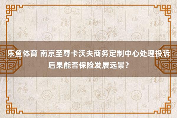 乐鱼体育 南京至尊卡沃夫商务定制中心处理投诉后果能否保险发展远景？