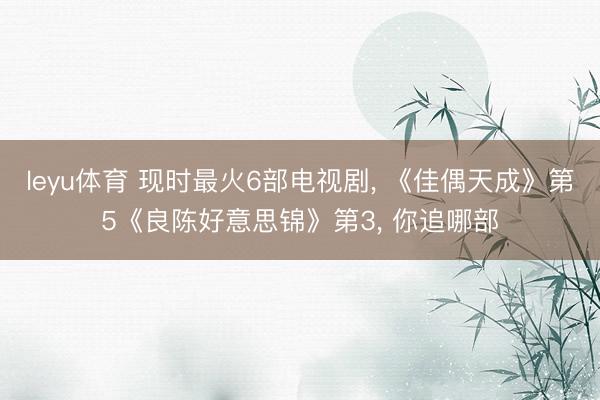 leyu体育 现时最火6部电视剧， 《佳偶天成》第5《良陈好意思锦》第3， 你追哪部