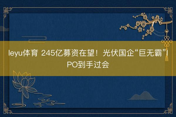 leyu体育 245亿募资在望！光伏国企“巨无霸”IPO到手过会
