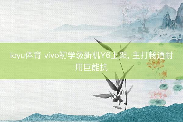 leyu体育 vivo初学级新机Y6上架， 主打畅通耐用巨能抗